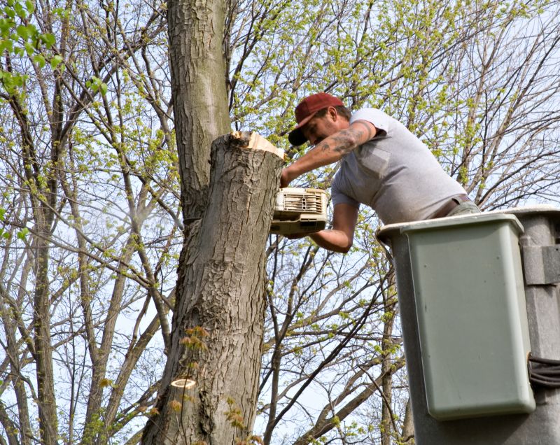 Tree Service in Bucks County, PA