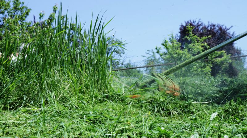 Tree Straightening Services Overview
