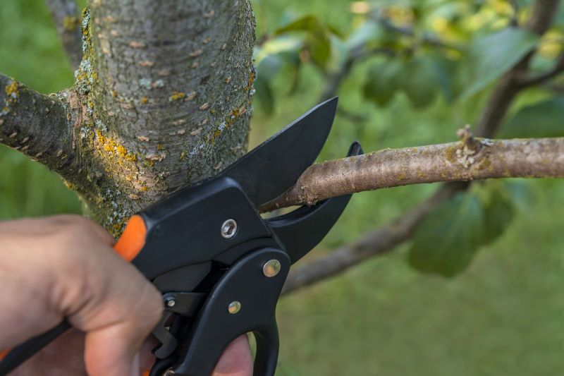 Tree Straightening