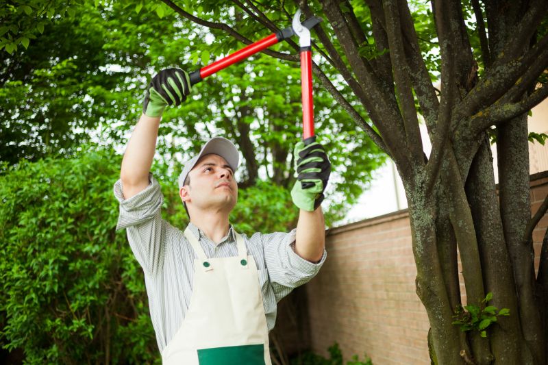Tree Straightening
