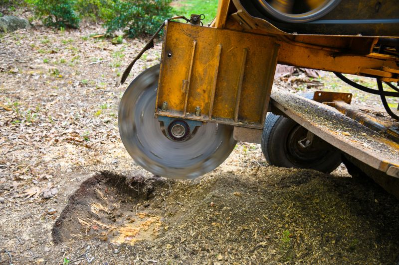 Tree Root Grinding in Calvert County, MD